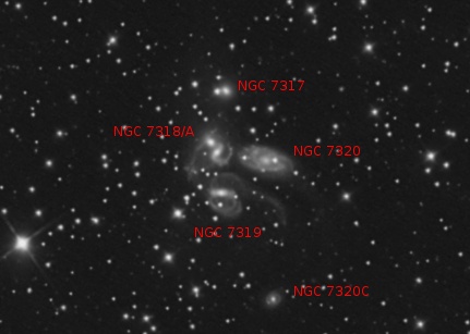 NGC7331